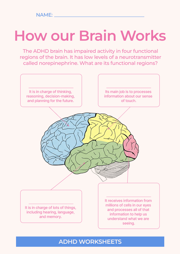 Kids ADHD Worksheet + Infographic